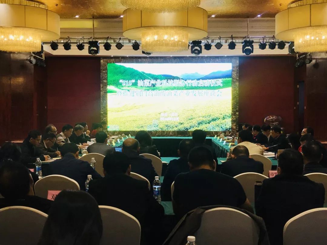 湖北省“515”高油酸油菜产业科技服务行动在荆门启动