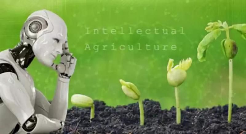 我国人工智能与农业领域深度融合现状与挑战