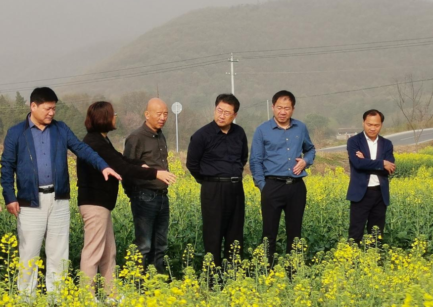 市政府副市长刘克雄调研高油酸油菜制种基地
