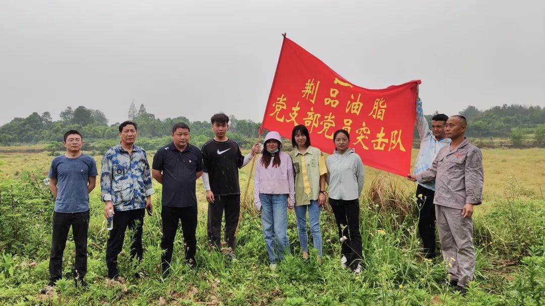 湖北荆品油脂有限公司开展高油酸油菜种子收储工作