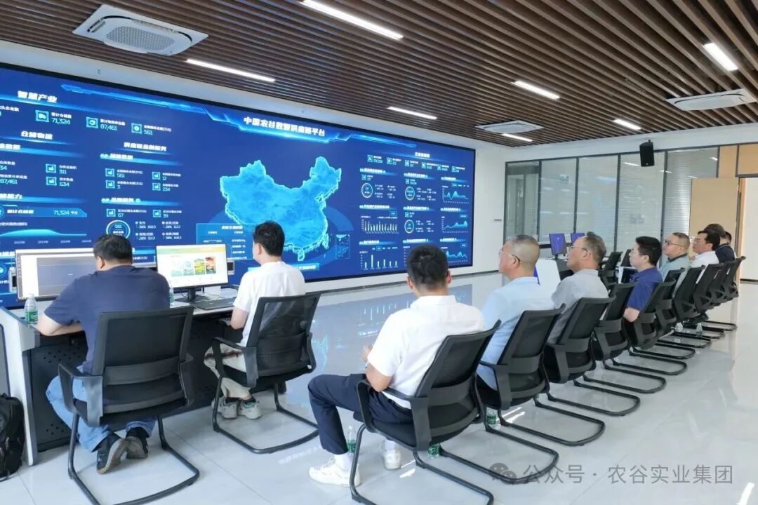 集团董事长杨小明调研中国农谷农产品供应链平台项目