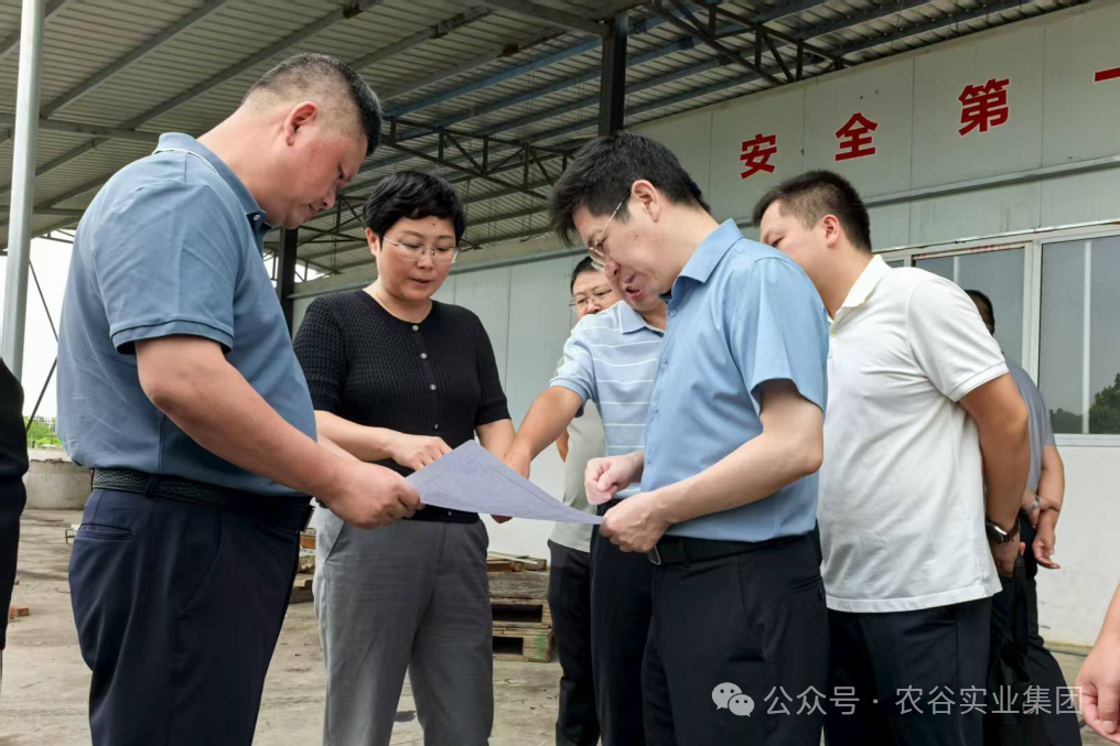 农谷实业集团与沙洋县携手推进荆门市风干食品产业园项目建设