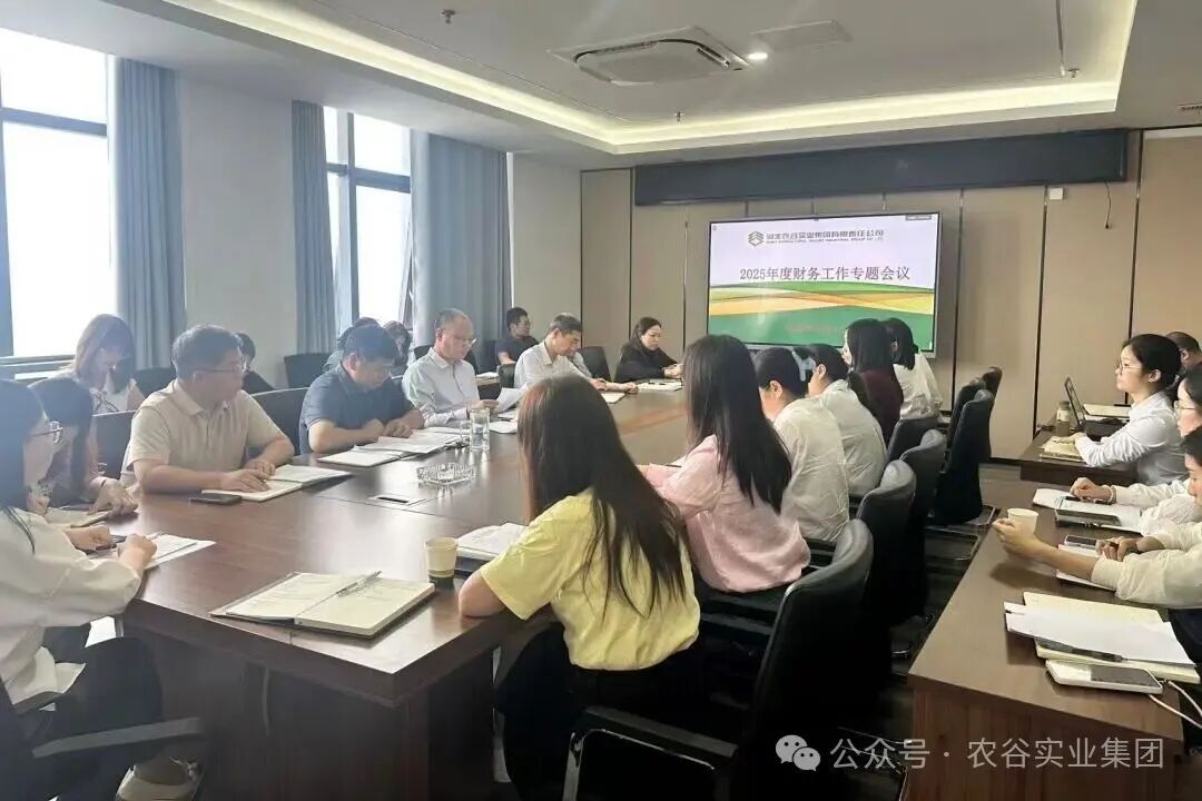 农谷实业集团召开2025年度财务工作专题会议